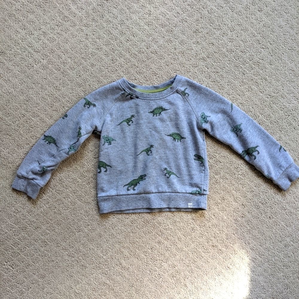 Dinosaur Sweatshirt